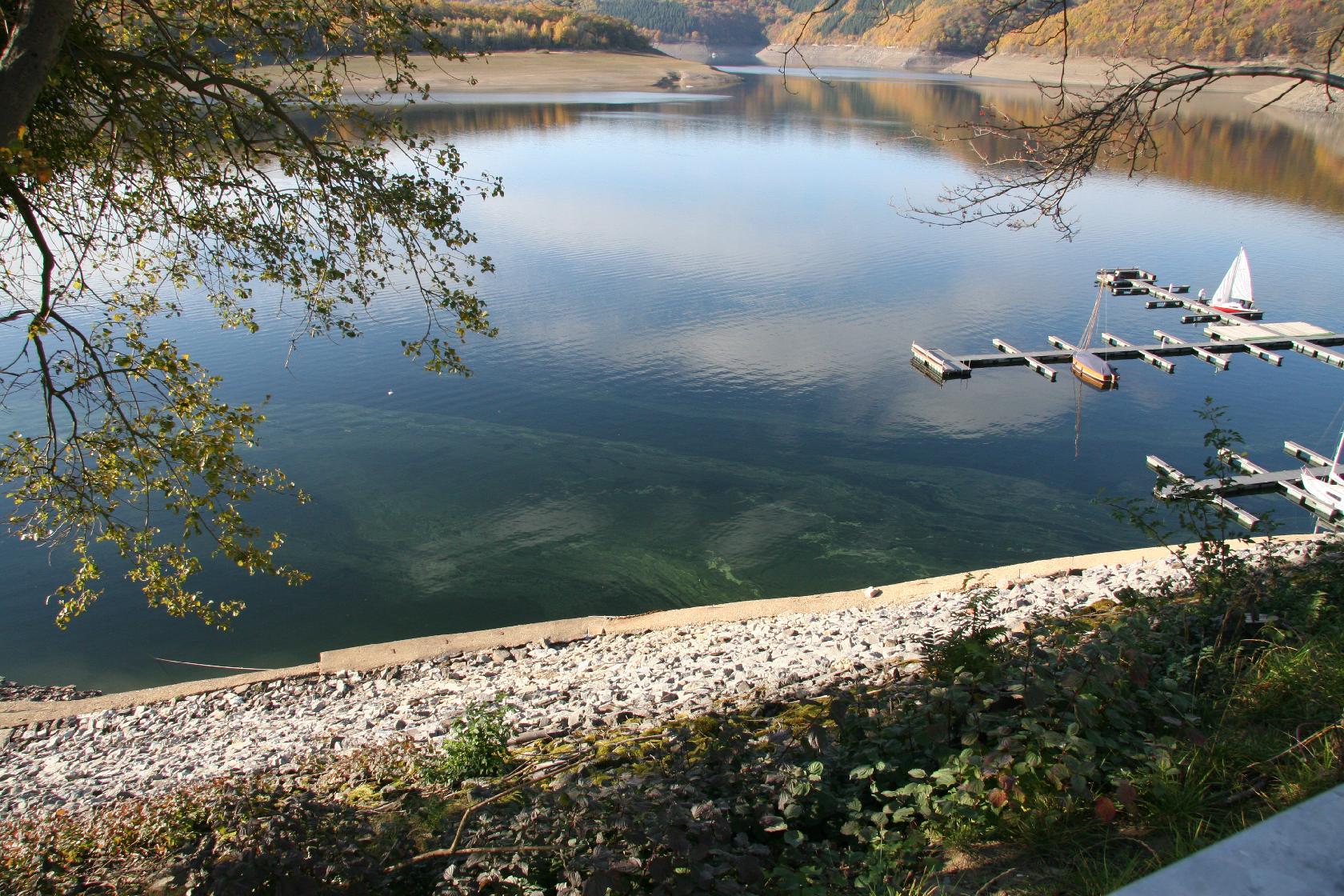Niedrigwasser Teil 2 2011