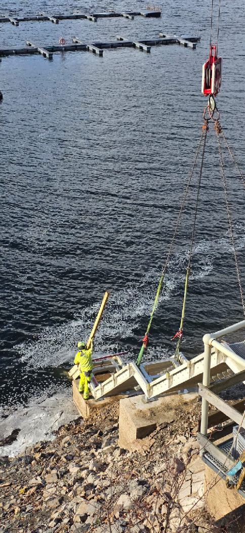 Treppensanierung 2025